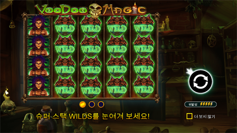 와일드 와일드 리치스